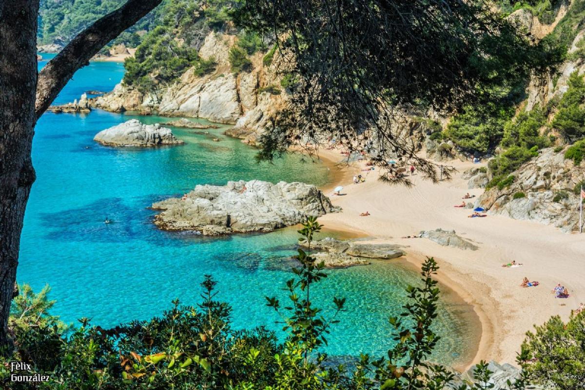AL11 Apartamento Albert Lloret de Mar Esterno foto